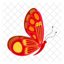 Butterfly  Icon