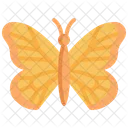 Butterfly  Icon