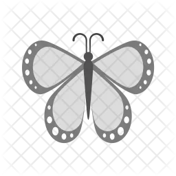 Butterfly  Icon