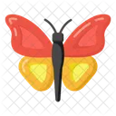 Butterfly  Icon