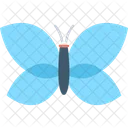 Butterfly  Icon