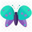 Butterfly  Icon