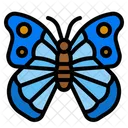 Butterfly  Icon