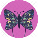 Butterfly  Icon