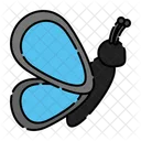 Butterfly  Icon