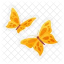 Butterfly  Icon