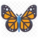 Butterfly  Icon