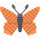 Butterfly  Icon