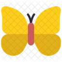 Butterfly  Icon