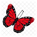 Butterfly  Icon