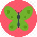 Butterfly  Icon