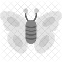 Butterfly  Icon