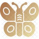 Butterfly  Icon