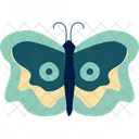 Butterfly Insect Nature Icon