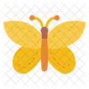 Butterfly  Icon