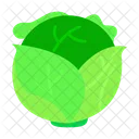 Cabbage  Icon