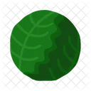 Cabbage  Icon