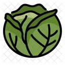 Cabbage  Icon