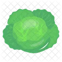 Cabbage  Icon