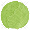 Cabbage  Icon