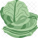 Cabbage  Symbol