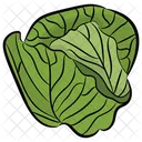 Cabbage  Icon