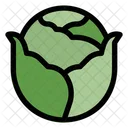 Cabbage  Icon