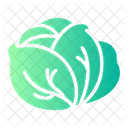 Cabbage Nature Greens Symbol