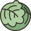 Cabbage  Icon