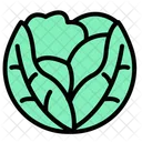 Cabbage Vegetable Healthy Symbol