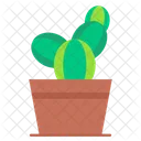 Cacti  Icon