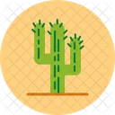 Cacti  Icon