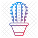 Cacti  Icon