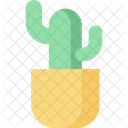 Cactus  Icon