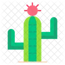 Cactus  Icon