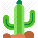 Cactus Planta Desierto Icono