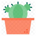 Cactus Icon