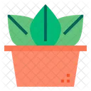 Cactus Icon