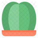 Cactus Icon