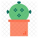 Cactus Icon