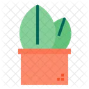 Cactus Icon