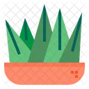 Cactus Icon