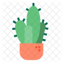 Cactus Icon