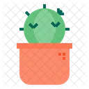 Cactus Icon