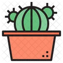 Cactus Icon