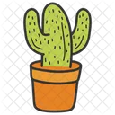 Cactus  Icono