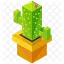 Cactus Planta Florero Icono