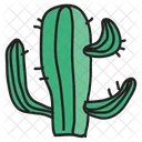 Cactus Planta Icono