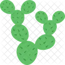 Cactus  Icon