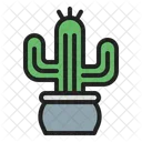 Cactus  Icon